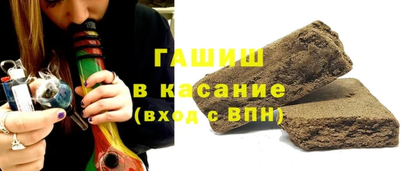 сатива Новоузенск
