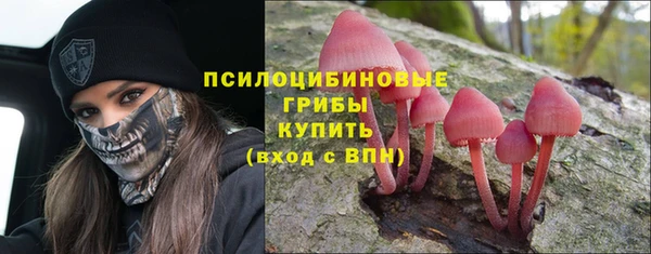 мяу мяу мука Абдулино